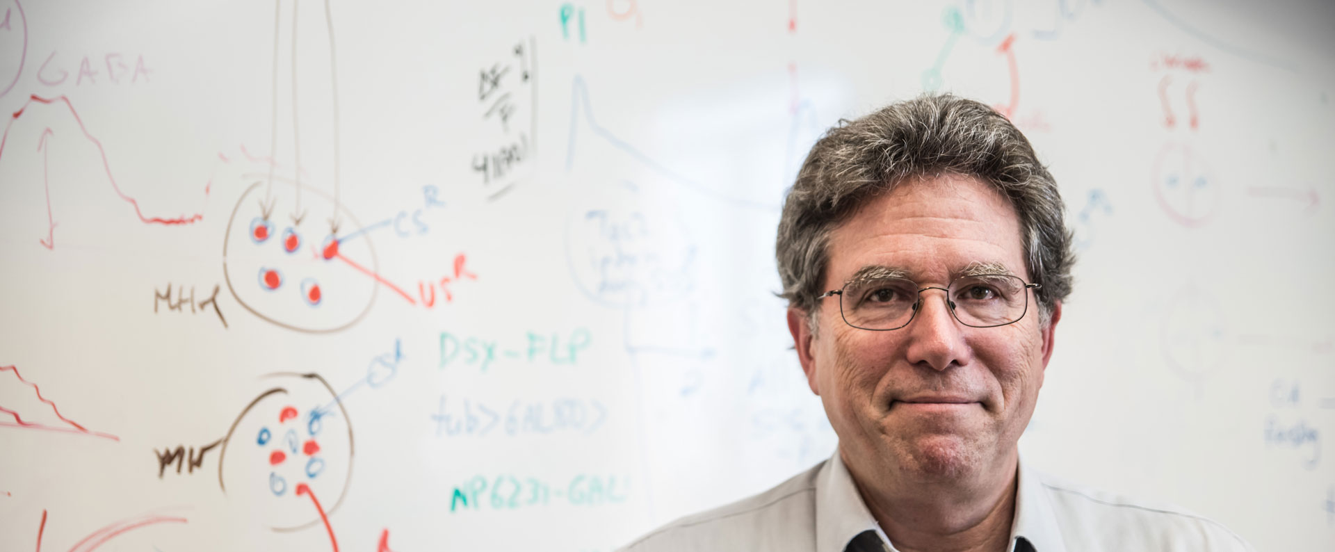 加州理工研究员、TCCI研究院负责人获得神经科学荣誉奖项