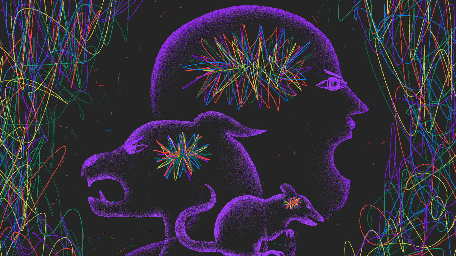 从果蝇到厌恶的眼神：寻找愤怒的动物根源