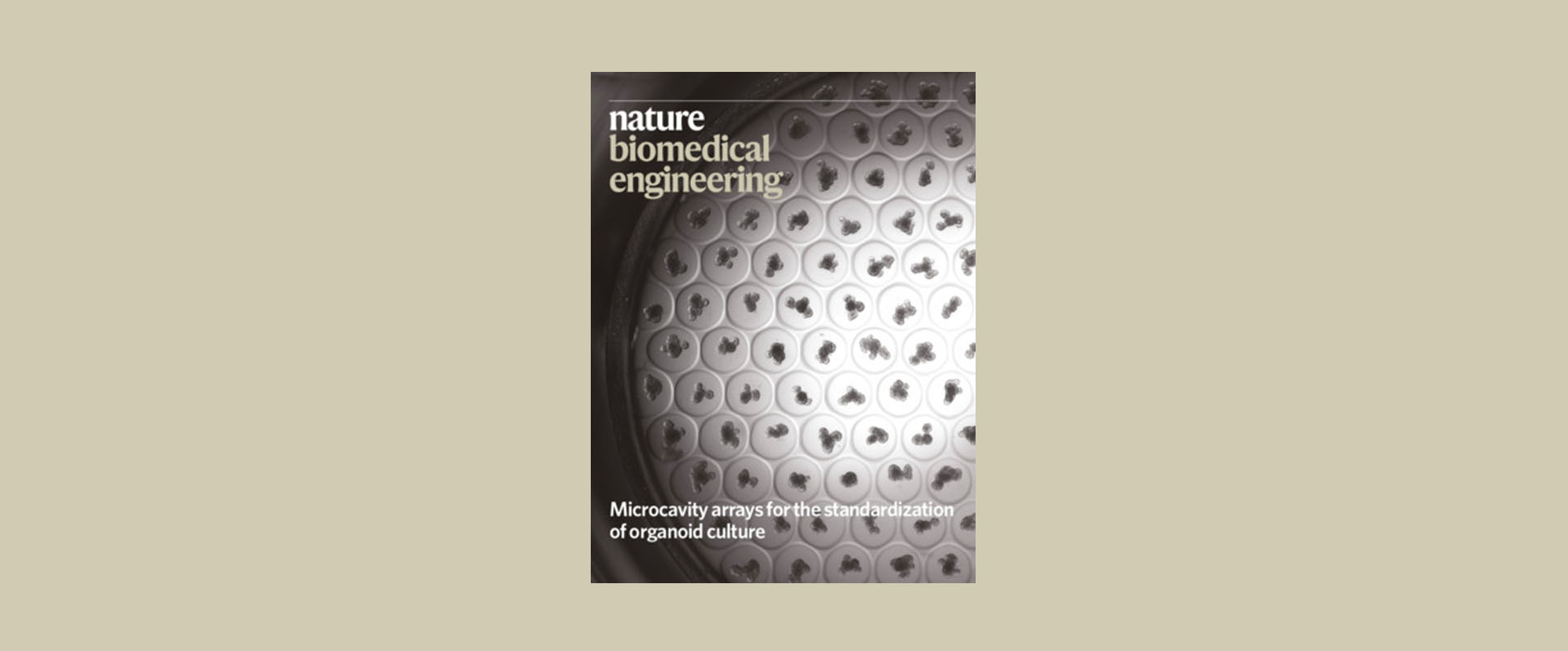 毛颖在Nature子刊发表文章介绍癫痫治疗新技术