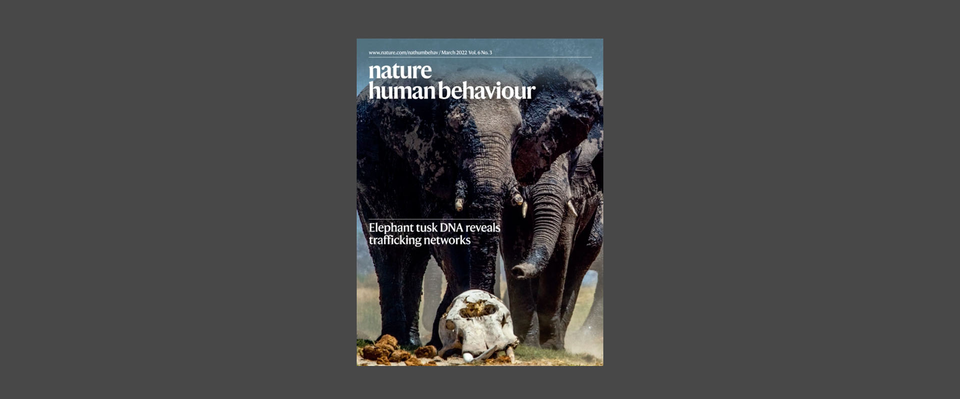 TCCI科学家在Nature Human Behavior发表评论探讨计算精神病学在中国的发展