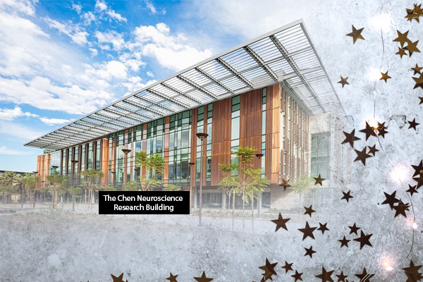 2020 TCCI Holiday Newsletter