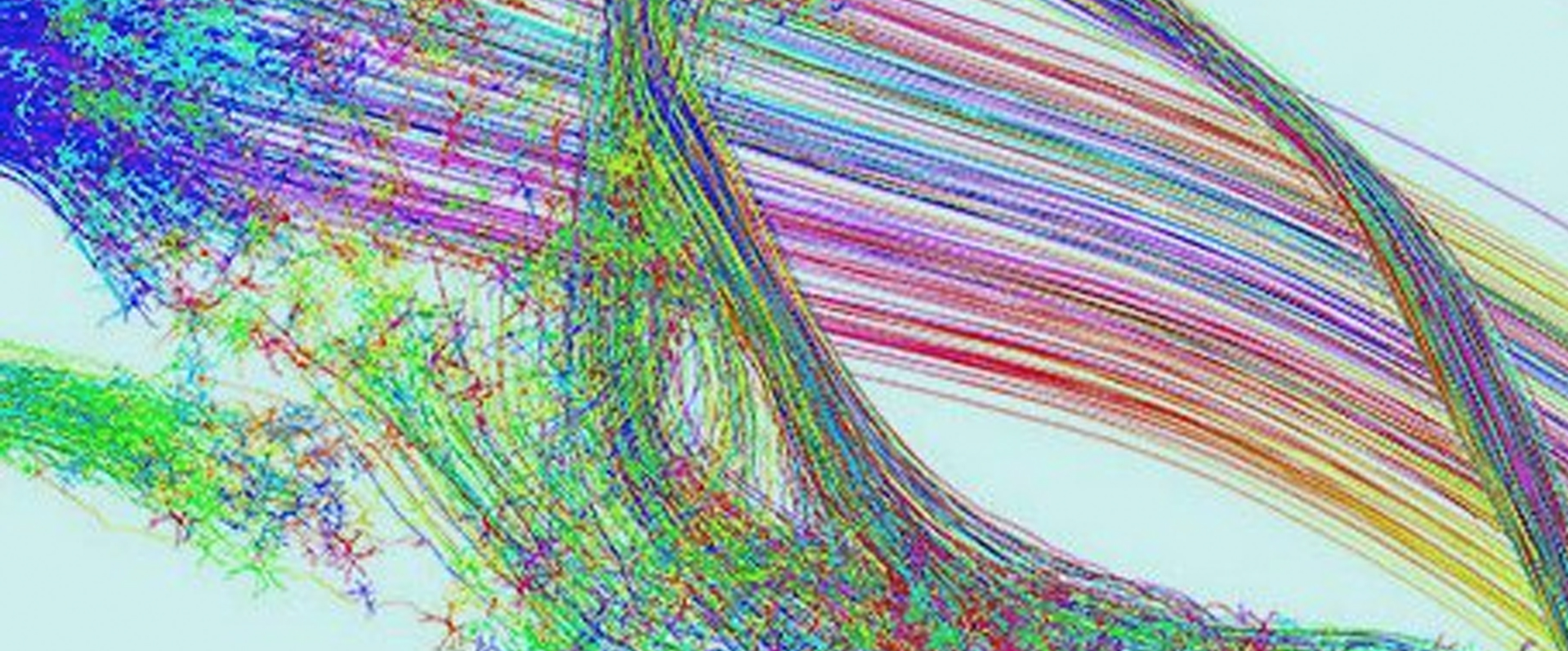 神经网络学会使用《我的世界》构建地图